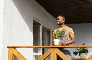meilleure plantes pour un balcon plein sud