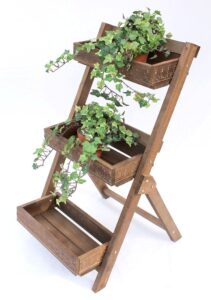 Plantes d'herbes aromatiques diverses en pots sur terrasse avec outils de jardinage