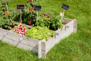 Planification de potager avec divers légumes d'été comme les tomates