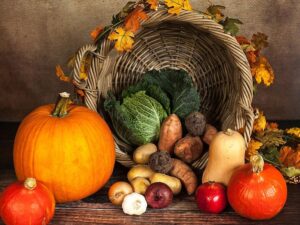 legumes d'automne varies dans un potager lors d'une journee ensoleillee