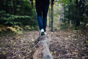 zoom sur marche dans la foret