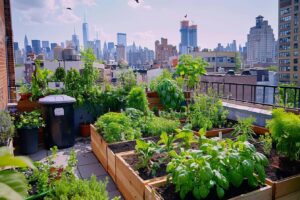 Comment créer un jardin potager en permaculture dans un petit espace urbain ?