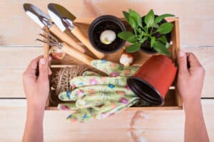produits pour jardin