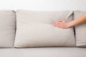 interieur createurs amateurs confort mousse