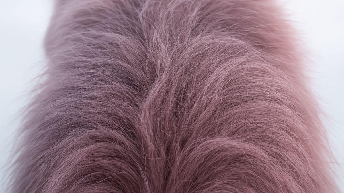 en voulant ramener les mammouths à la vie, des scientifiques ont fait naître cette créature étrange