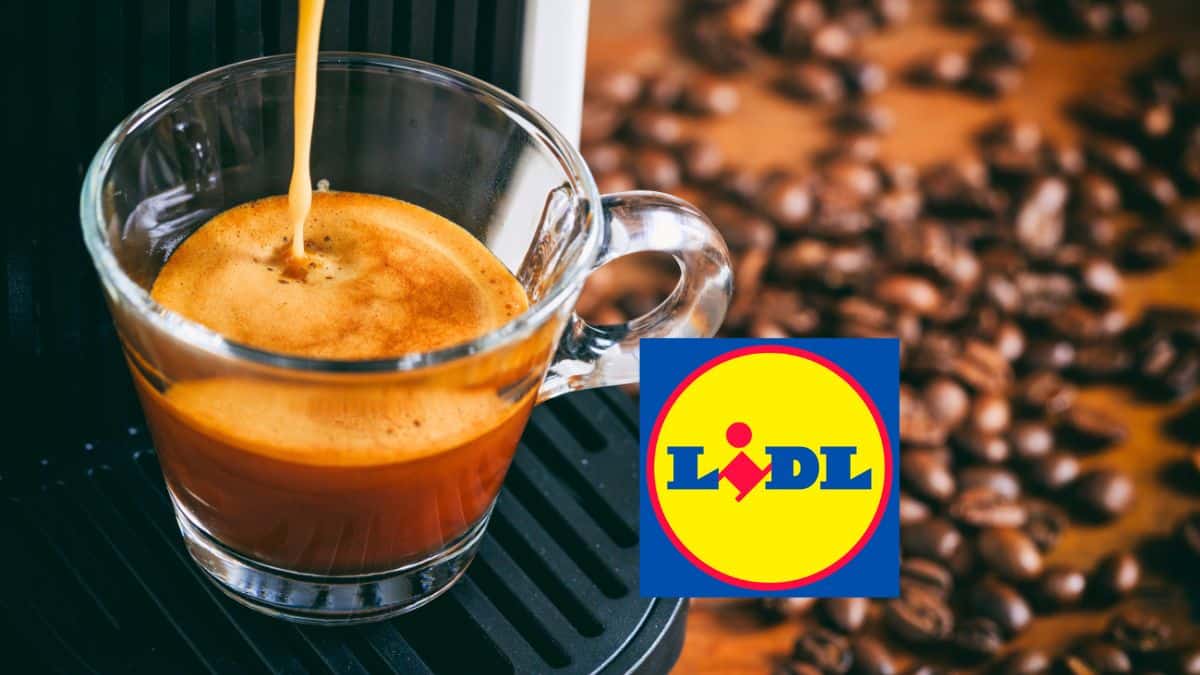 ce café massivement vendu chez lidl est l’un des meilleurs en supermarché selon ufc que choisir
