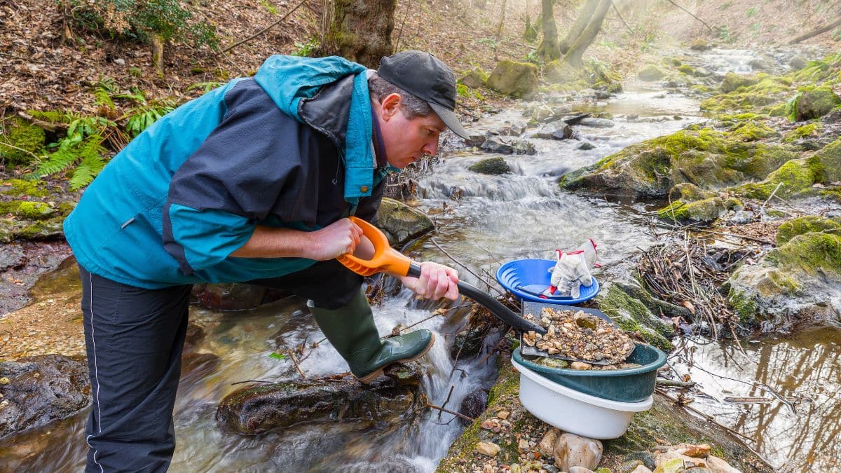 c’est la ruée vers l’or dans cette région française où des dizaines de tonnes sont enfouies