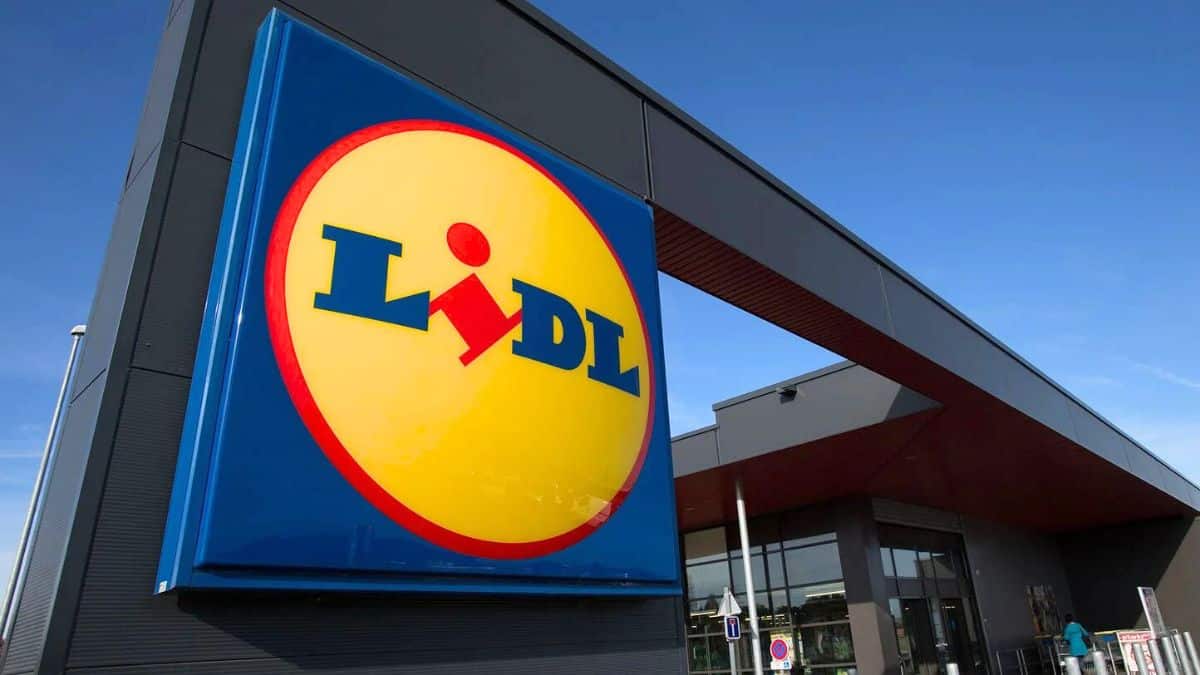 fermeture des magasins lidl les supermarchés de cette liste ne pourront pas ouvrir le dimanche, les voici