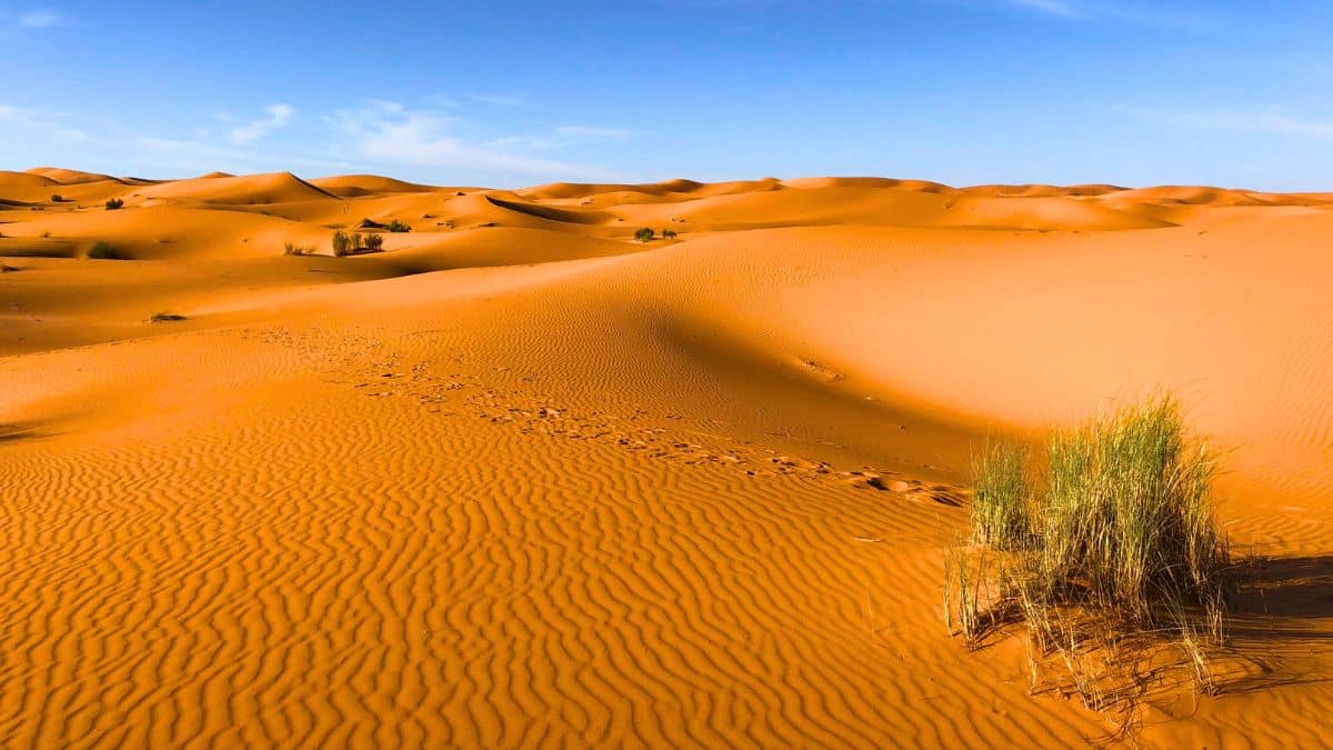 le sable tombé du sahara en france était radioactif des essais nucléaires méconnus refont surface