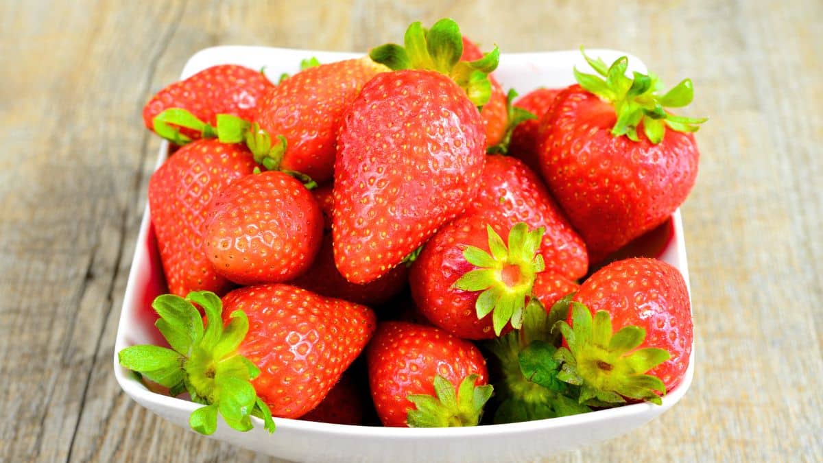 ni coupe à fruits ni frigo voici l’endroit où vous devez conserver les fraises pour ne pas qu’elles pourrissent
