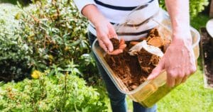 voici pourquoi il faut absolument garder le marc de café, ces plantes l'adorent littéralement