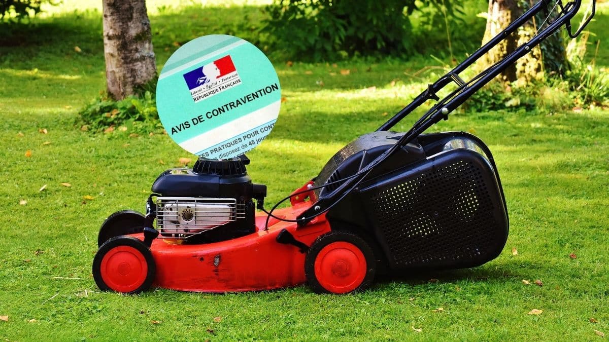 à partir de cette date, il sera interdit de tondre sa pelouse durant ces horaires la nouvelle règle fait réagir