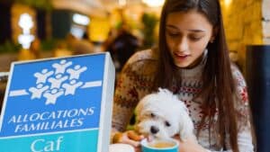 la caf donne t elle une aide pour les animaux de compagnie la réponse officielle