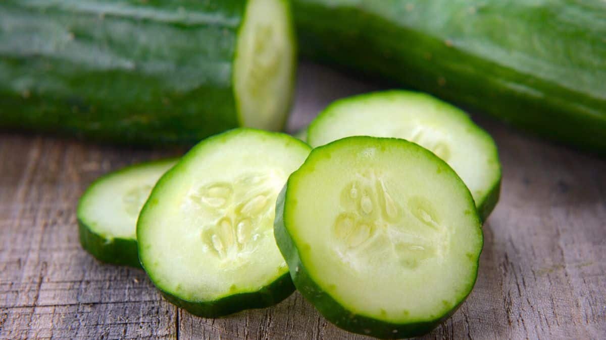 les concombres sont bourrés de pesticides les laver est une mauvaise idée, faites plutôt ceci pour les éliminer à 100%