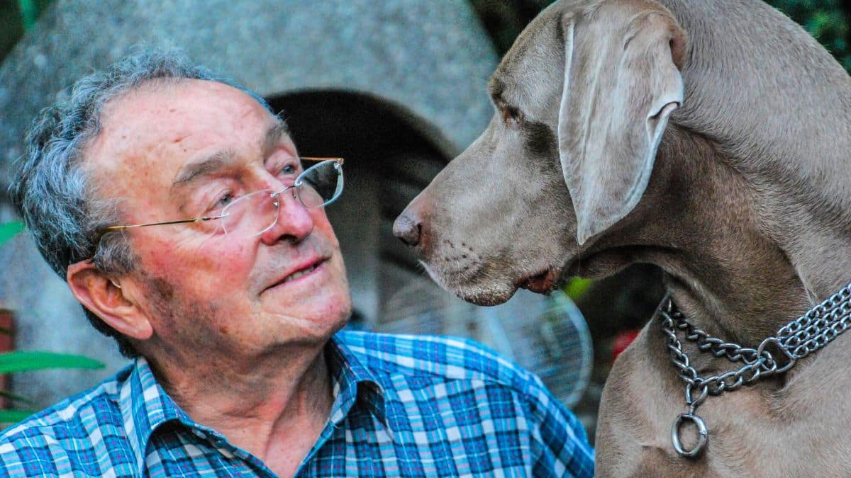 age maximum chien (1)