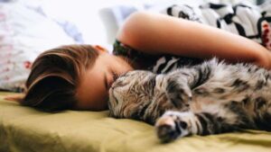 chat dort avec vous chaque nuit (1)