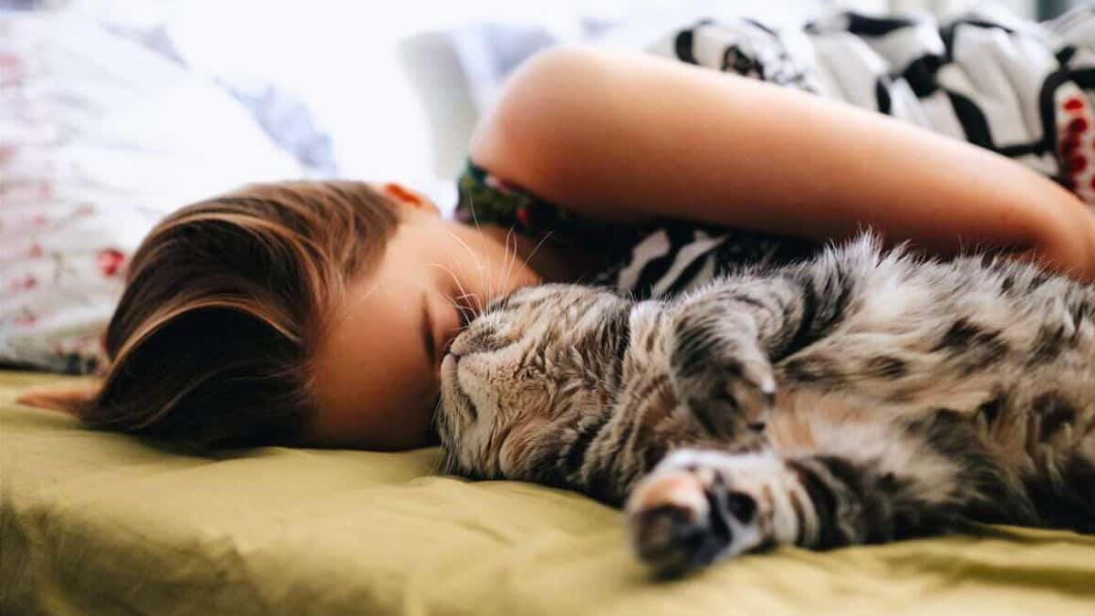 chat dort avec vous chaque nuit (1)
