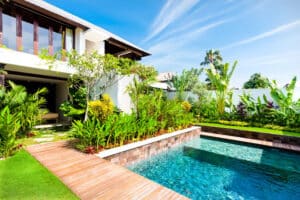 modern garden with a swimming pool and fancy plant