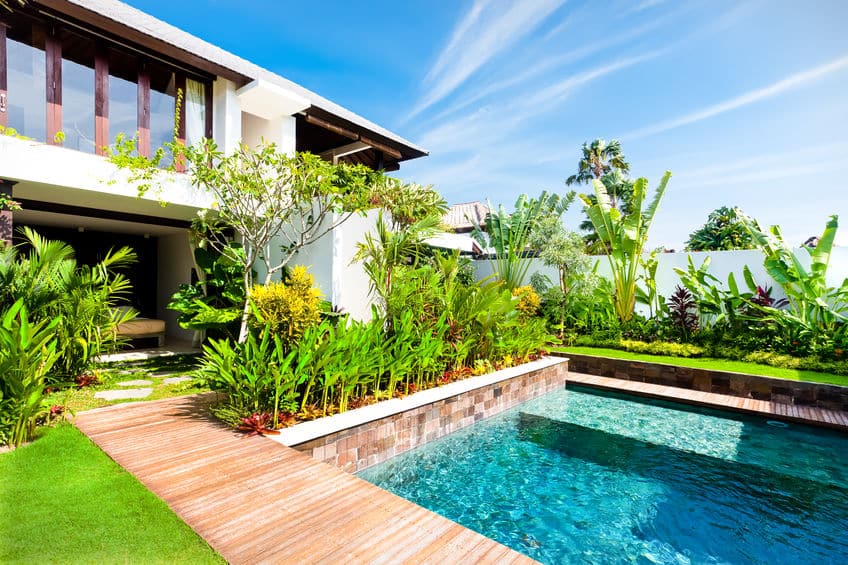 modern garden with a swimming pool and fancy plant